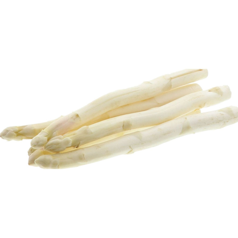 ASPERGE BLANCHE 22+ 2KG